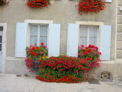 Noyers-sur-Serein House Box-Flowers.